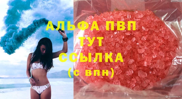 стаф Алексин