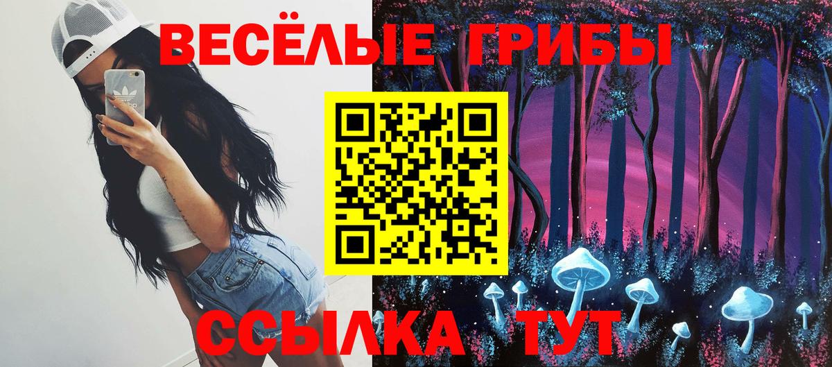 Волжский  Галлюциногенные грибы GOLDEN TEACHER  Вход с VPN 